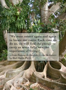 We must return again and again to relocated our roots. Each time we do so we will find the energy to carry us more fully into the experience of living.