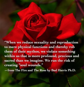 When we reduce sexuality and reproduction to mere physical functions and thereby rob them of their mythos, we violate something within us that is more profound, precious and sacred than we imagine. We run the risk of creating “soul wounds.