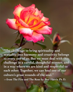The challenge to bring spirituality and sexuality into harmony and creativity belongs to every one of us. But we must deal with this challenge in a careful, thoughtful manner, and in a way where we are kind and respectful to each other. Together, we can heal one of our culture’s great wounds of the soul.