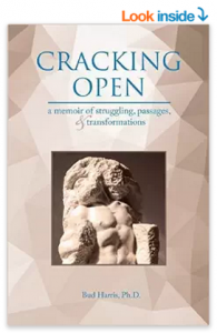 Cracking Open, a Jungian analyst's memoir